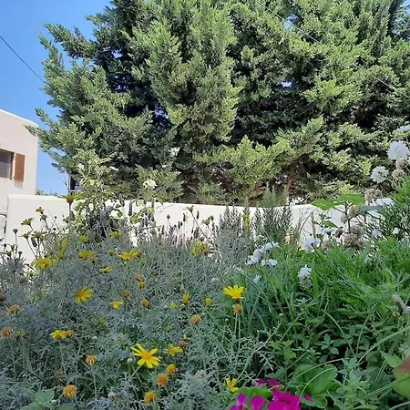 Apartment Bright Town House Parikia (Paros)